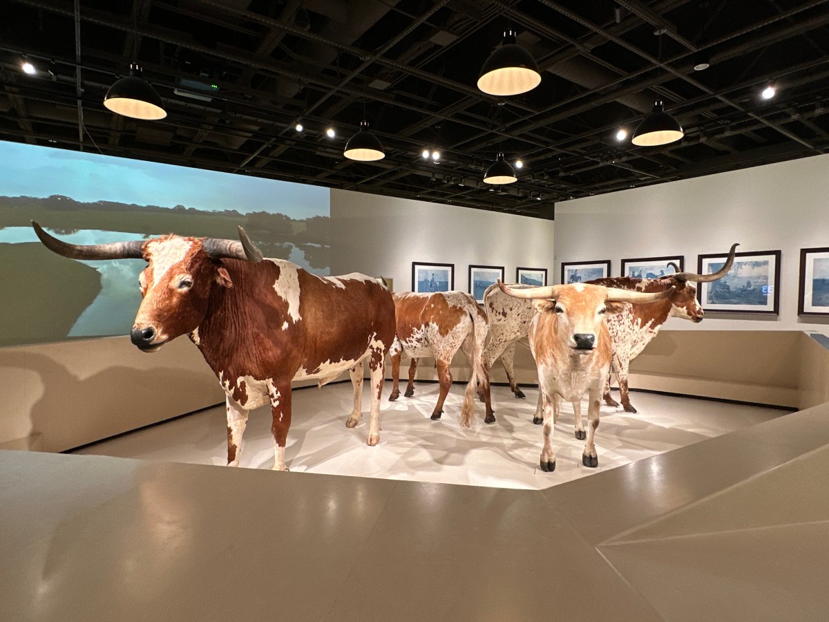 Texas Ranch Museum Cattle Raisers Museum: Fort Worth, TX – The Active Historian