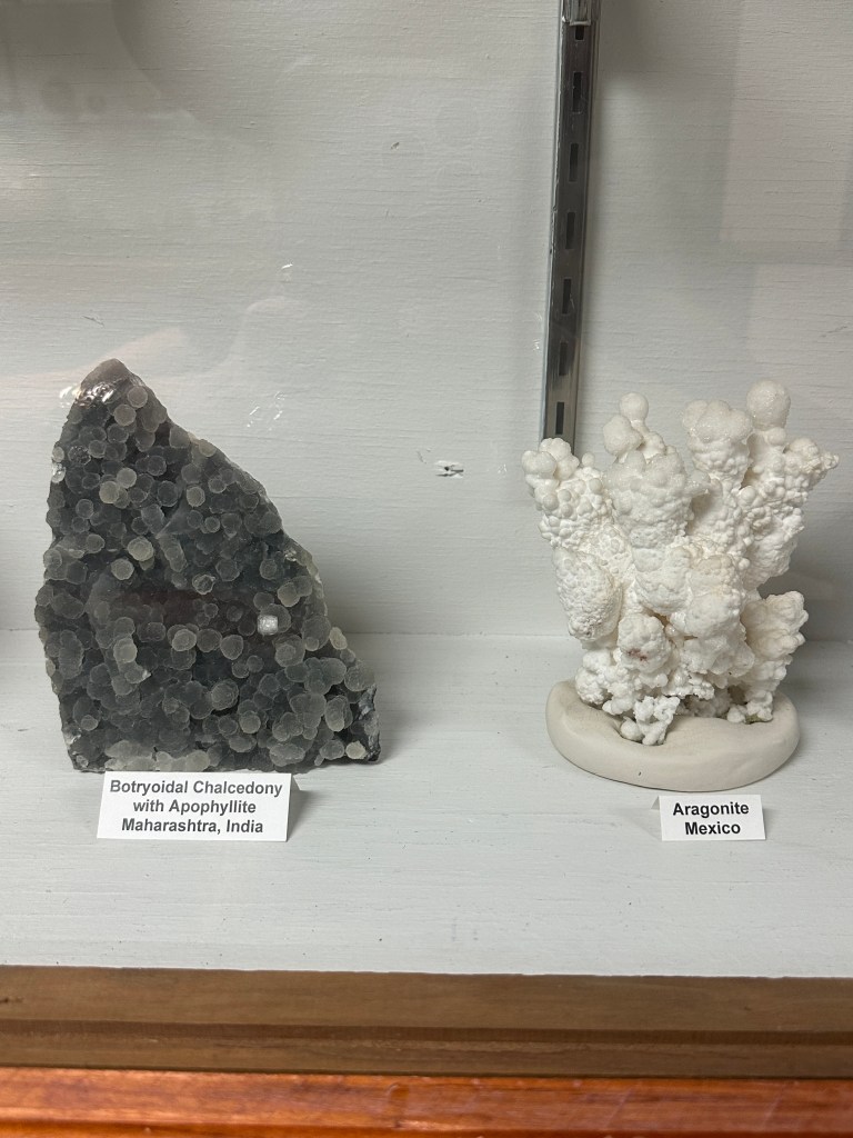Display of two mineral specimens in a museum: Botryoidal Chalcedony with Apophyllite from Maharashtra, India, on the left, and Aragonite from Mexico on the right.