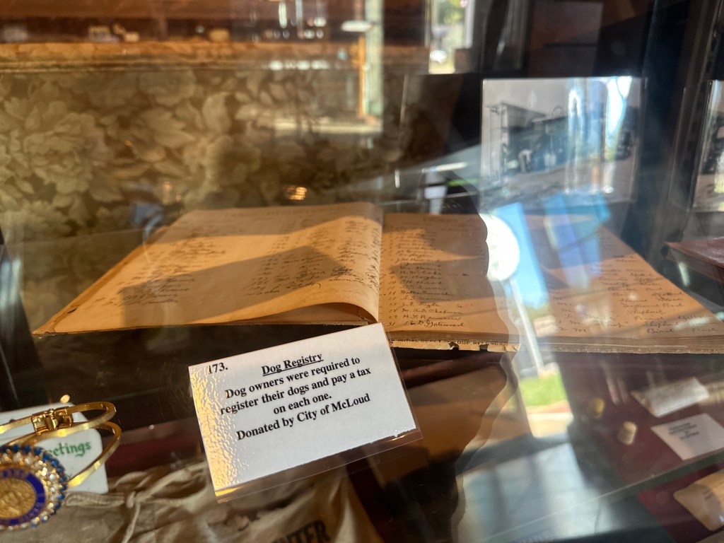 A close-up view of a historical dog registry book displayed in a glass case at the McLoud Historical Society Museum, with a sign indicating that dog owners were required to register their dogs and pay a tax.