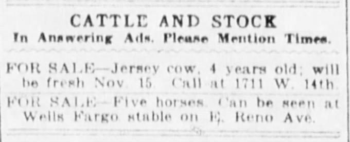 Advertisement for livestock sales featuring a Jersey cow and five horses, with details on their availability and contact information.