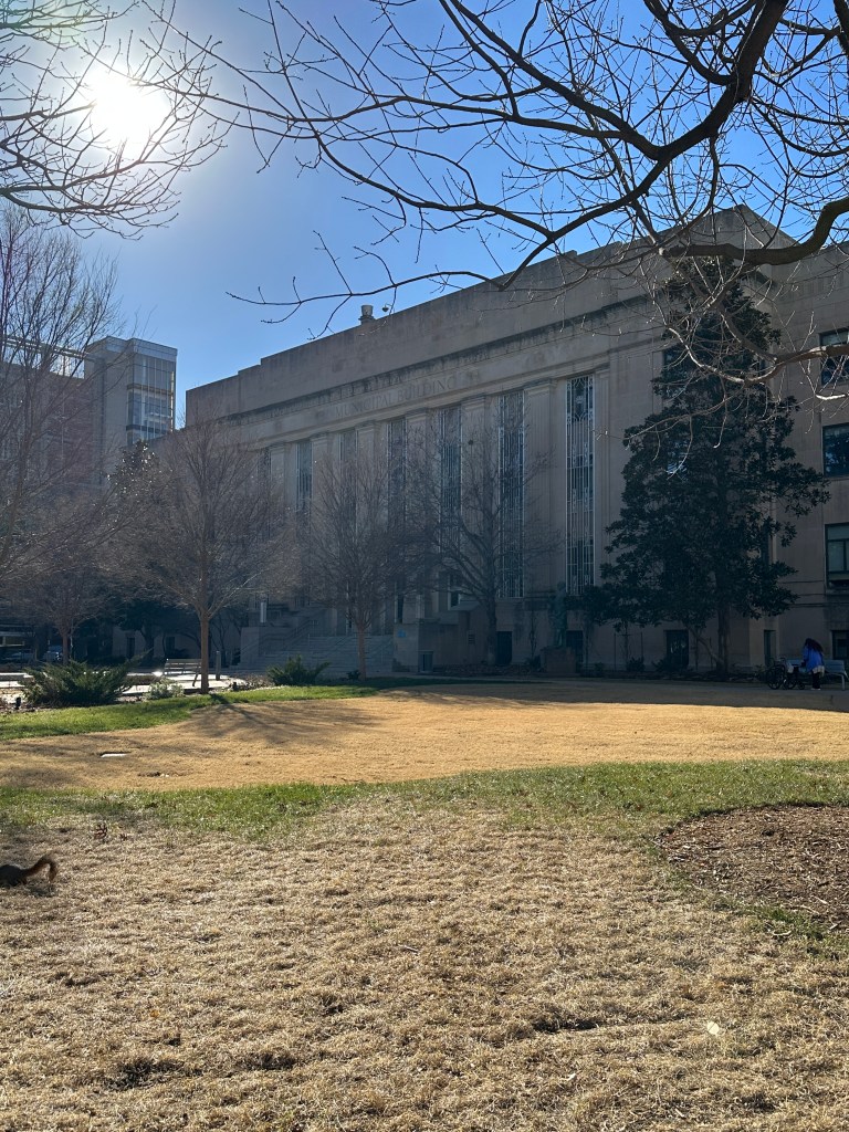View of a municipal building surrounded by bare trees under a clear blue sky with bright sunlight.