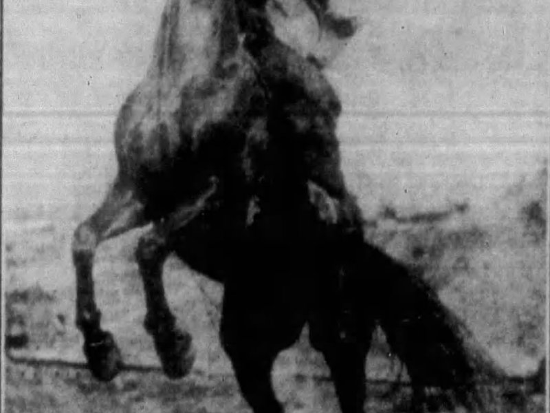 Breaking Trail: May&nbsp;Lillie